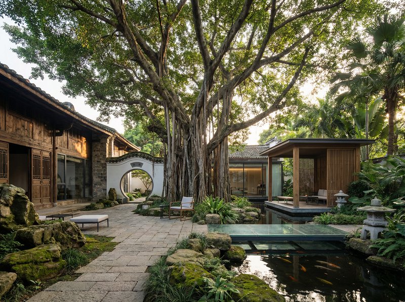 黑料古榕树纪录片视频